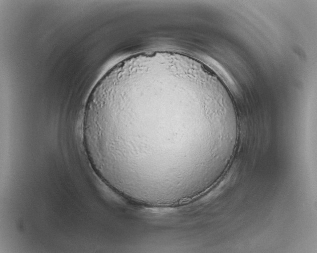 X0000116861244201001051419