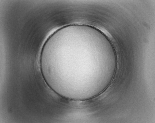 X0000116861248201001051419