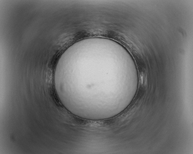 X0000116861251201001051418