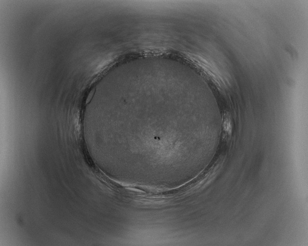 X0000116861252201001051418