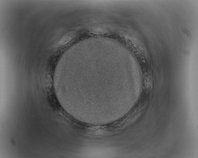 X0000116861253201001051418