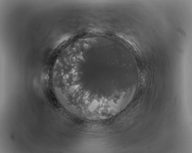 X0000116861254201001051418