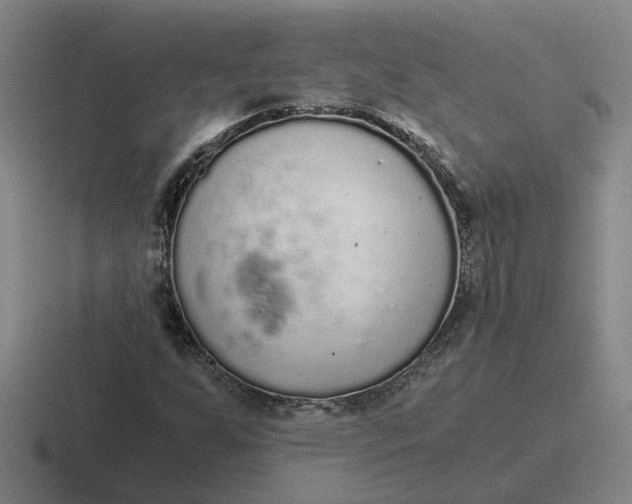 X0000116861255201001051418