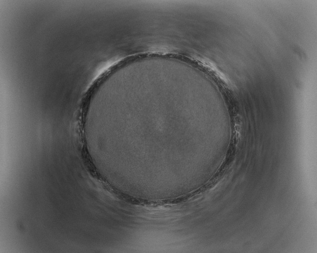 X0000116861256201001051418