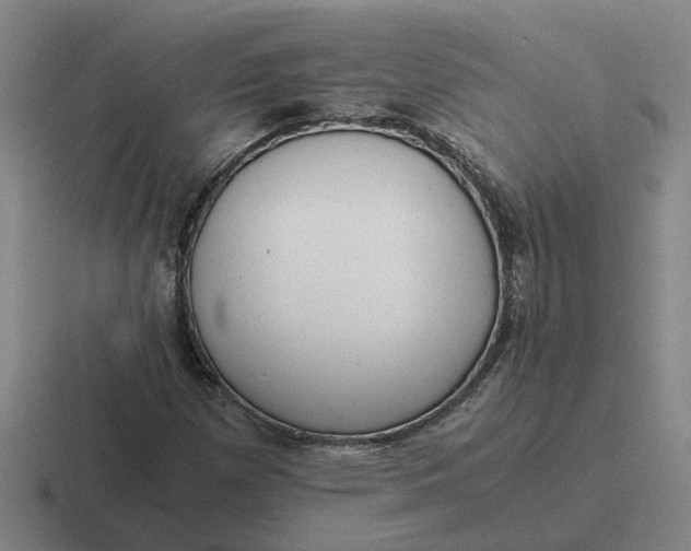 X0000116861257201001051418