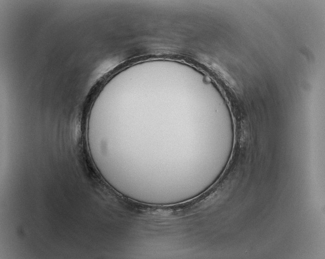 X0000116861261201001051418