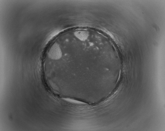 X0000116861263201001051418