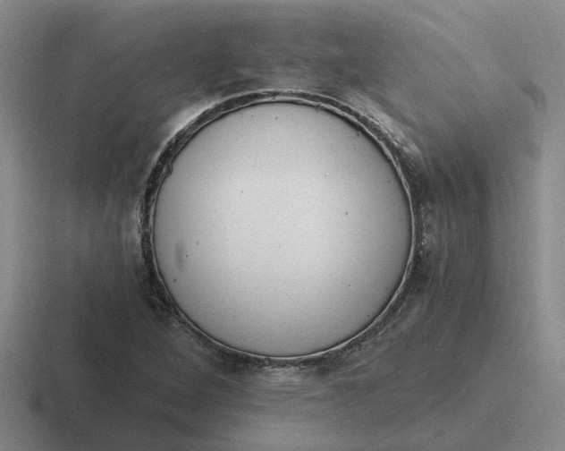 X0000116861264201001051418