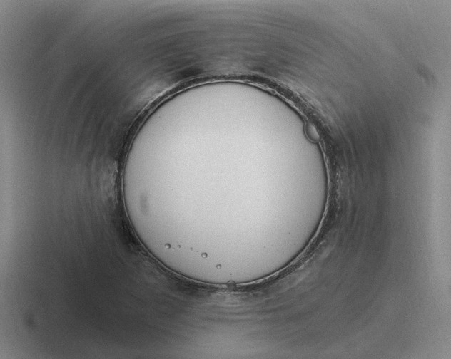 X0000116861265201001051418