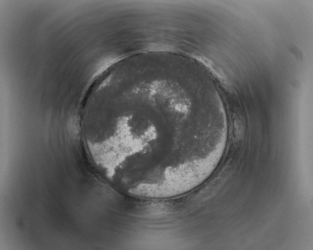 X0000116861266201001051418