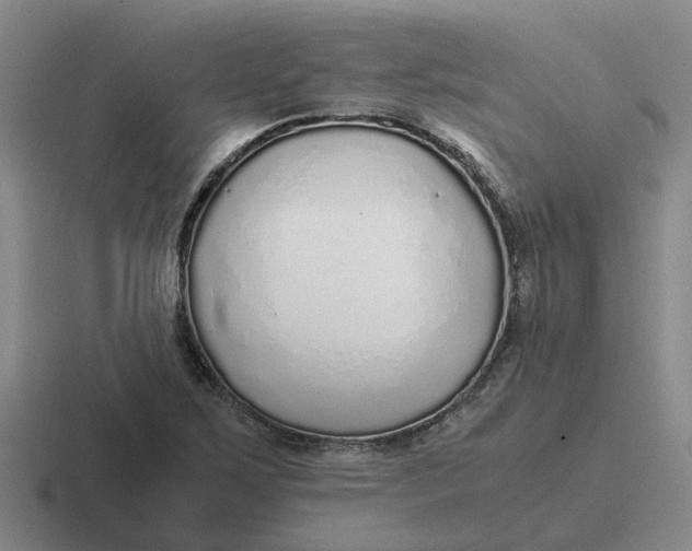 X0000116861267201001051418