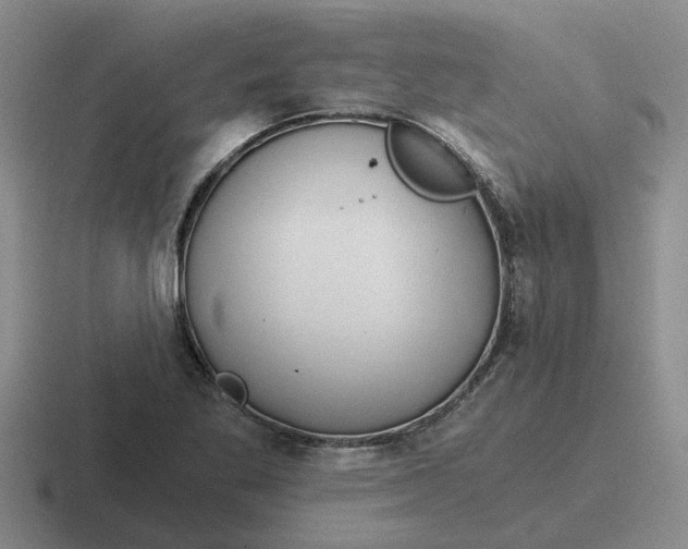 X0000116861269201001051418