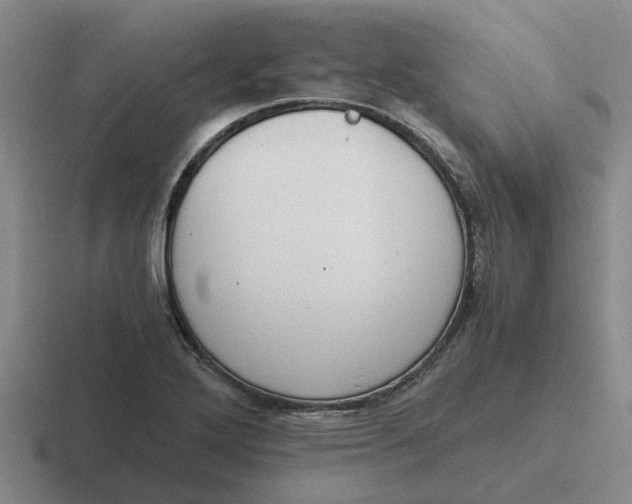 X0000116861272201001051418