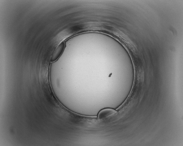 X0000116861273201001051418