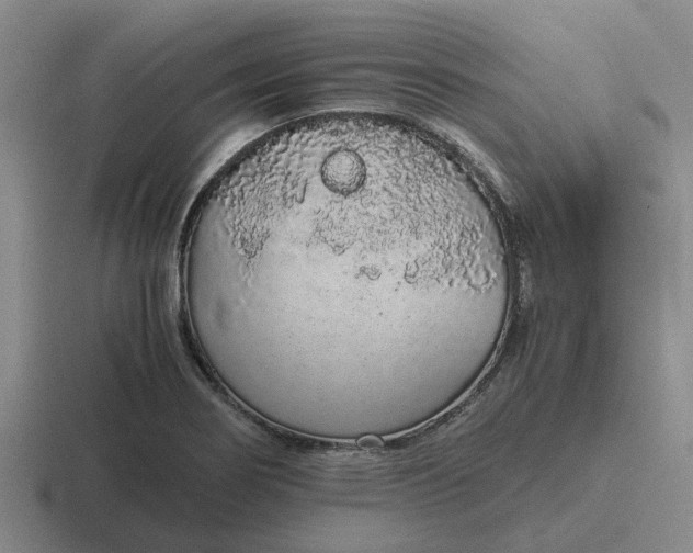 X0000116861274201001051418