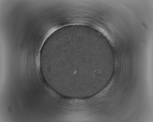 X0000116861275201001051418