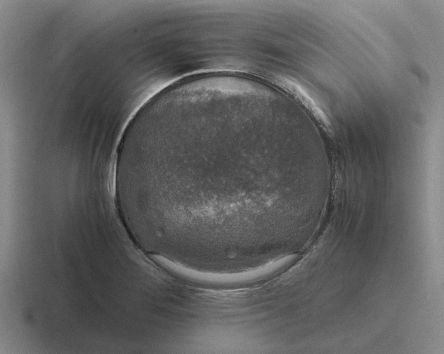 X0000116861276201001051418