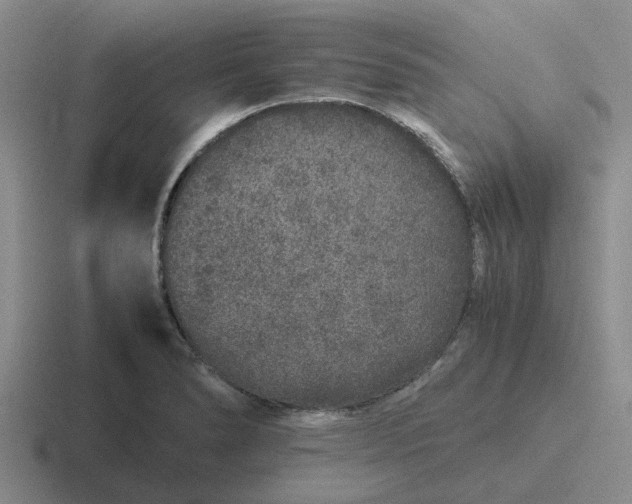 X0000116861278201001051418