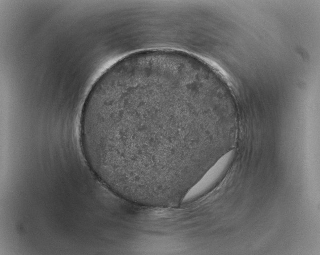 X0000116861279201001051418