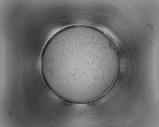 X0000116861280201001051418