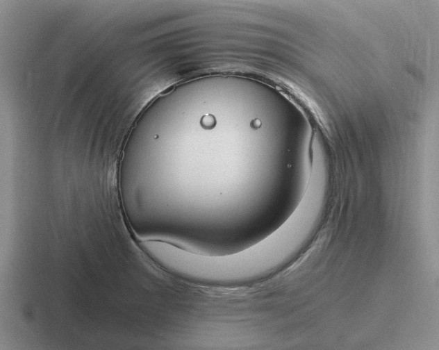 X0000116861281201001051418