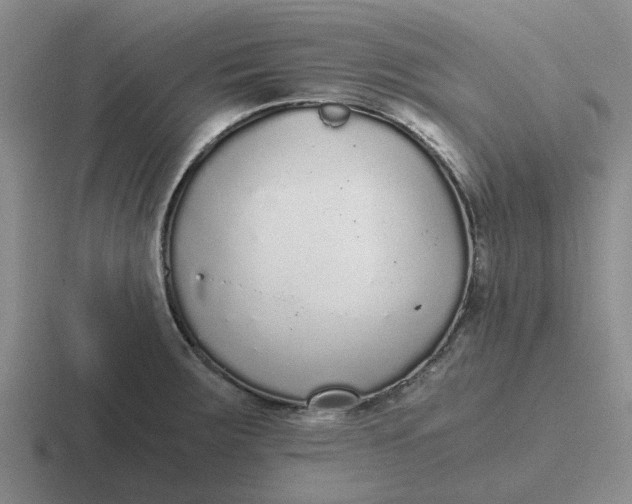 X0000116861283201001051418