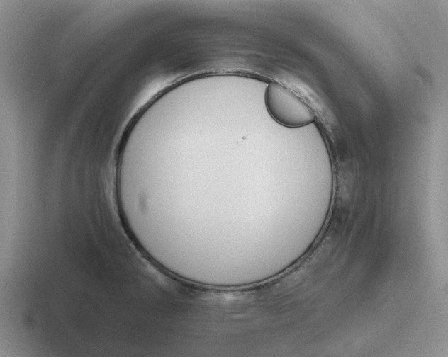 X0000116861286201001051417