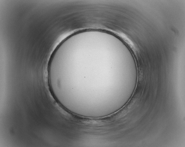 X0000116861287201001051417