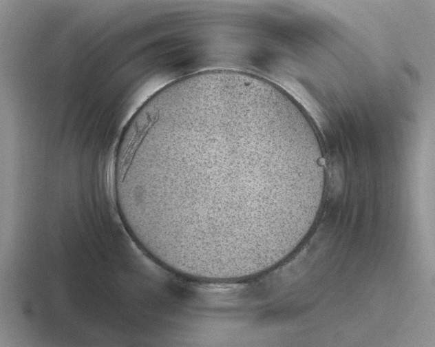 X0000116861290201001051417