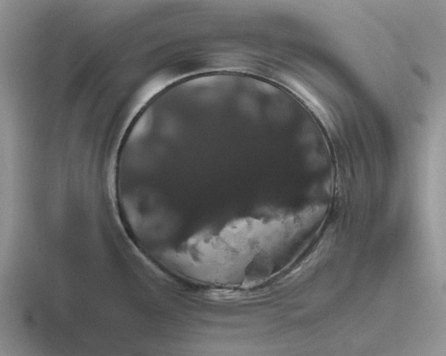 X0000116861291201001051417