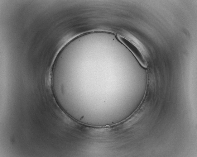 X0000116861292201001051417