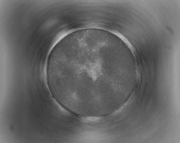 X0000116861294201001051417