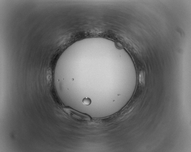 X0000116861299201001051417