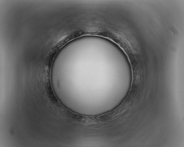 X0000116861301201001051417