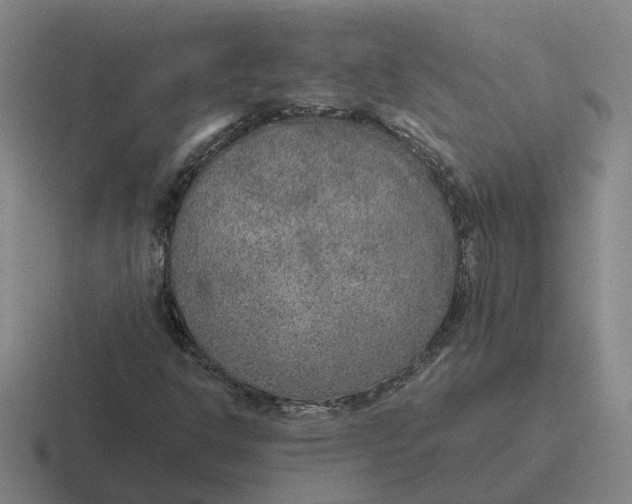 X0000116861302201001051417