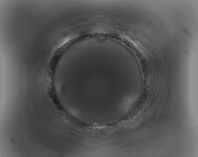 X0000116861303201001051417