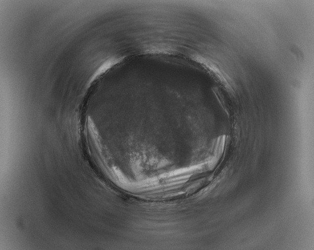 X0000116861306201001051417