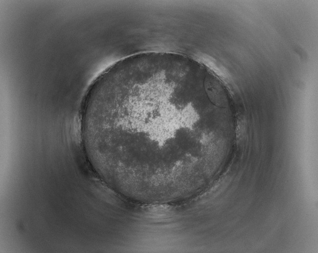 X0000116861310201001051417