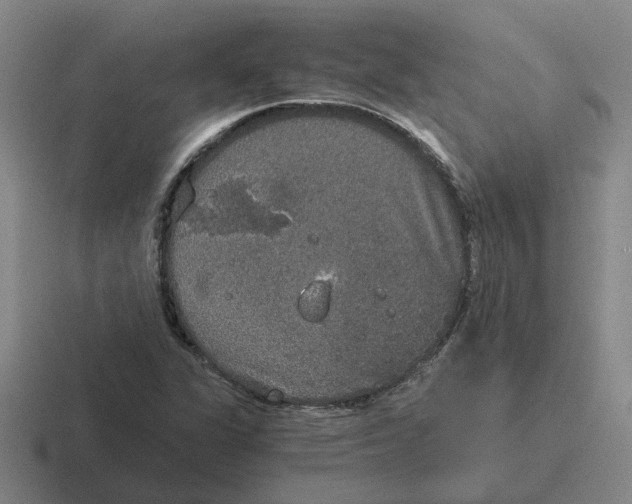 X0000116861311201001051417