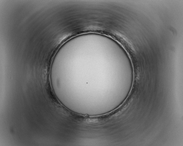 X0000116861313201001051417