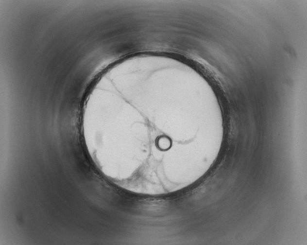 X0000116861314201001051417