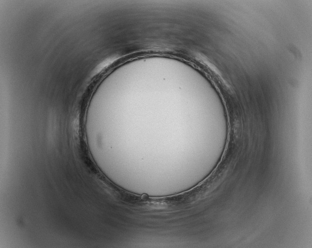 X0000116861315201001051417