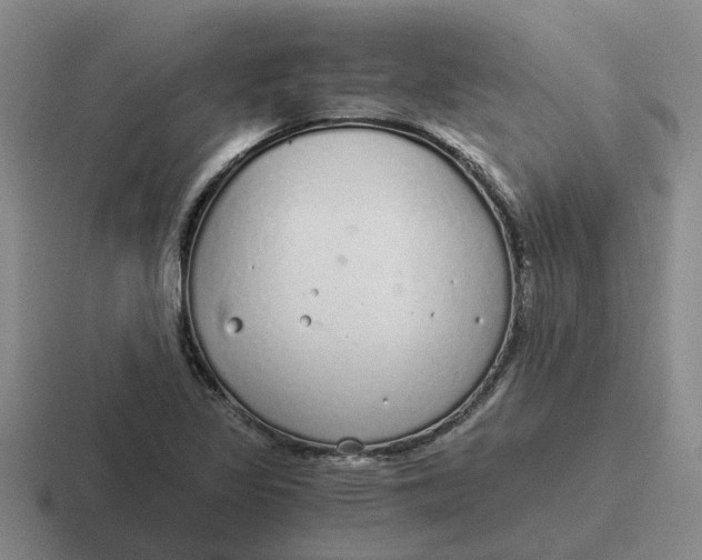 X0000116861317201001051417