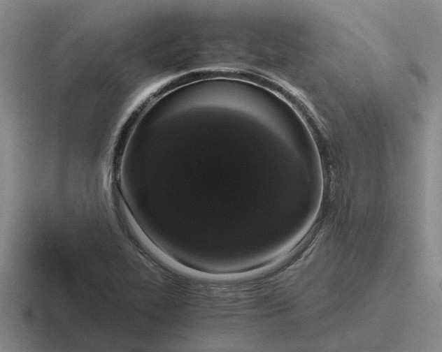 X0000116861319201001051417