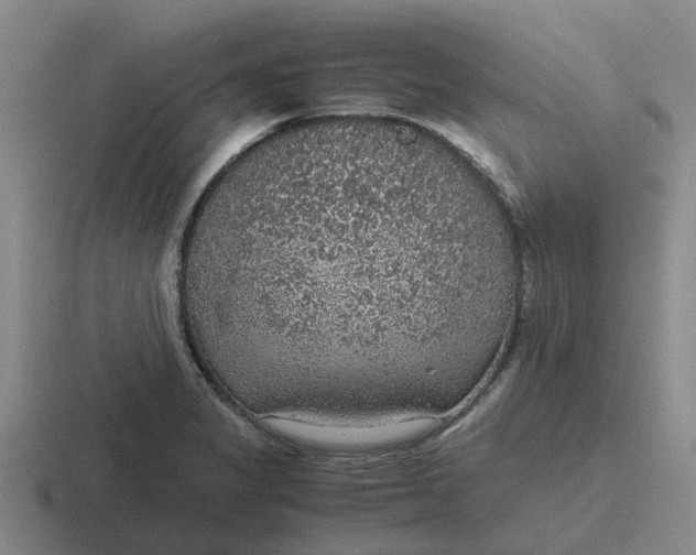 X0000116861325201001051417