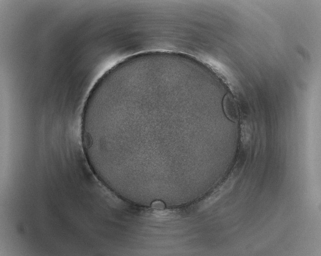 X0000116861326201001051417