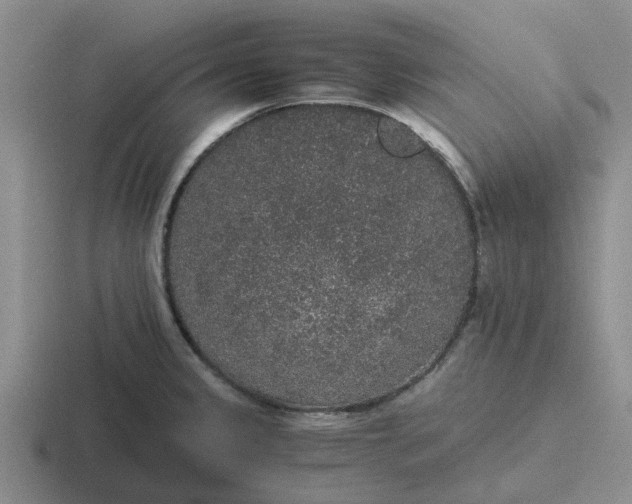 X0000116861333201001051417