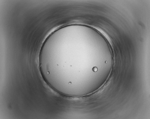 X0000116861341201001051417