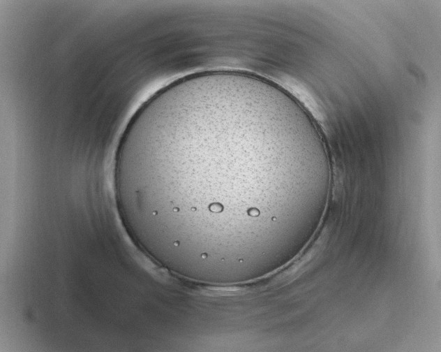 X0000116861342201001051417