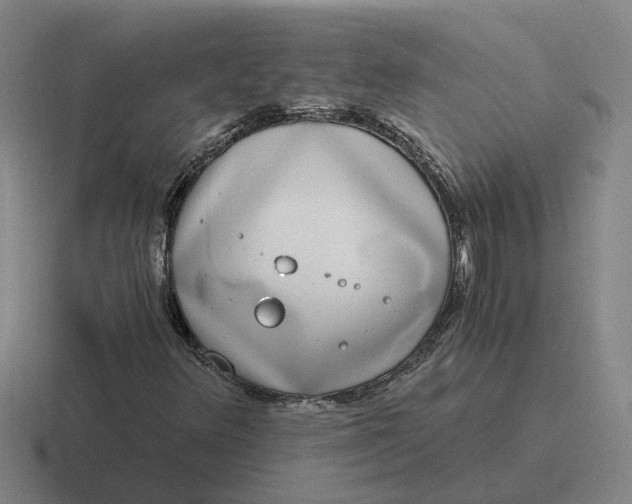 X0000116861348201001051417